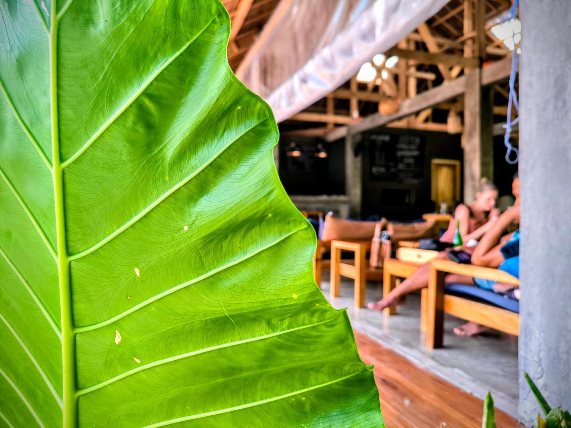 The Ohm Siargao Resort เจเนอรัลลูนา ภายนอก รูปภาพ